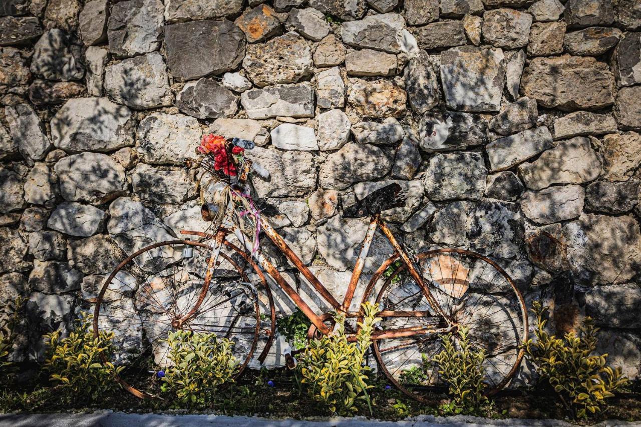 Il Giardino Di Rosa Villa Amalfi Bagian luar foto